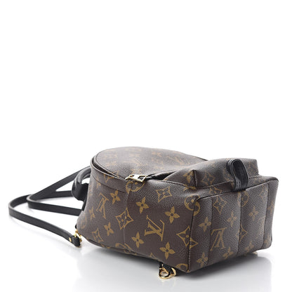 Louis Vuitton Monogram Palm Springs Backpack Mini 4 of 9