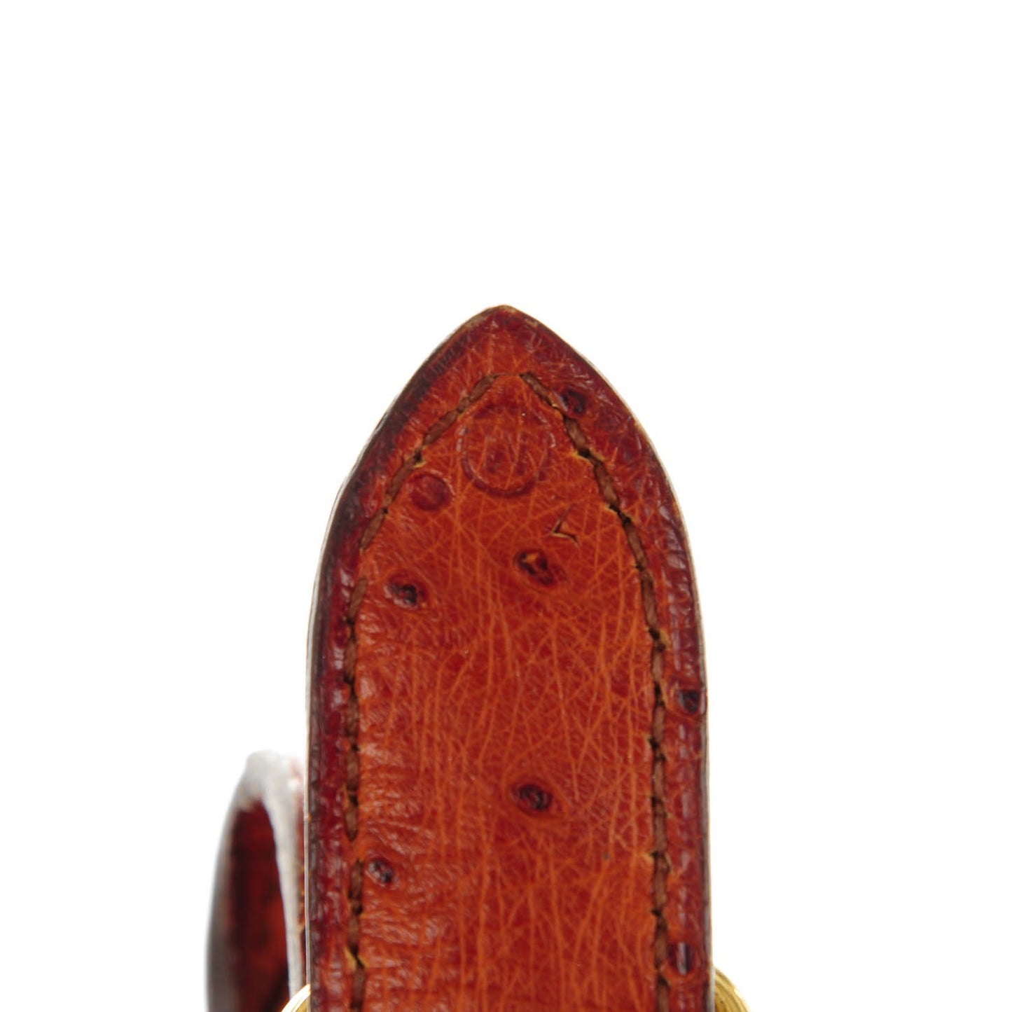 Ostrich Trim II 31