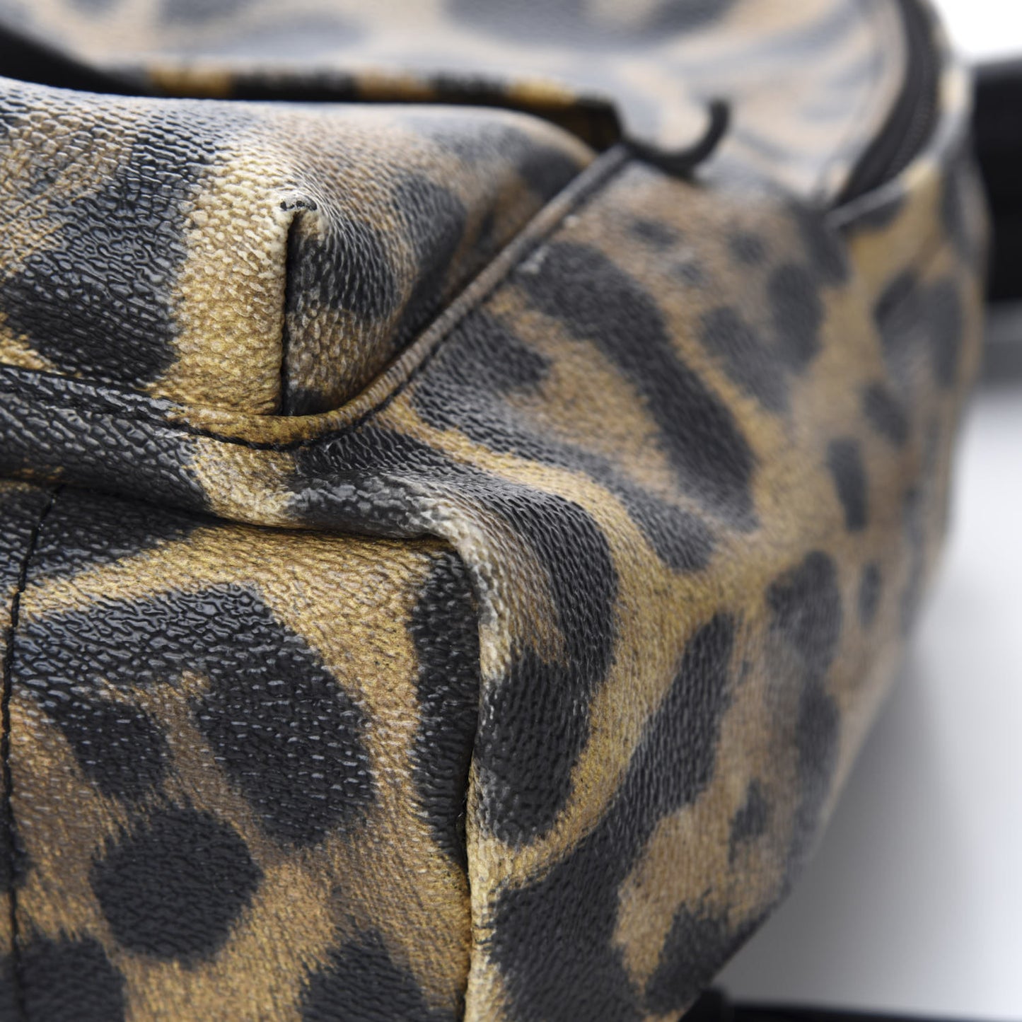 Wild Animal Print Palm Springs Backpack PM