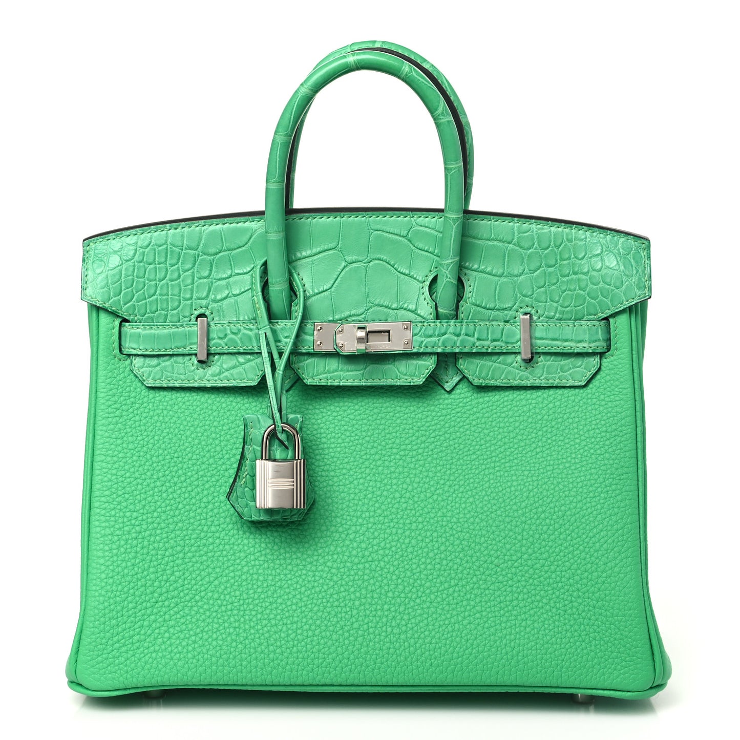 Togo Matte Alligator Birkin Touch 25 Vert Comics