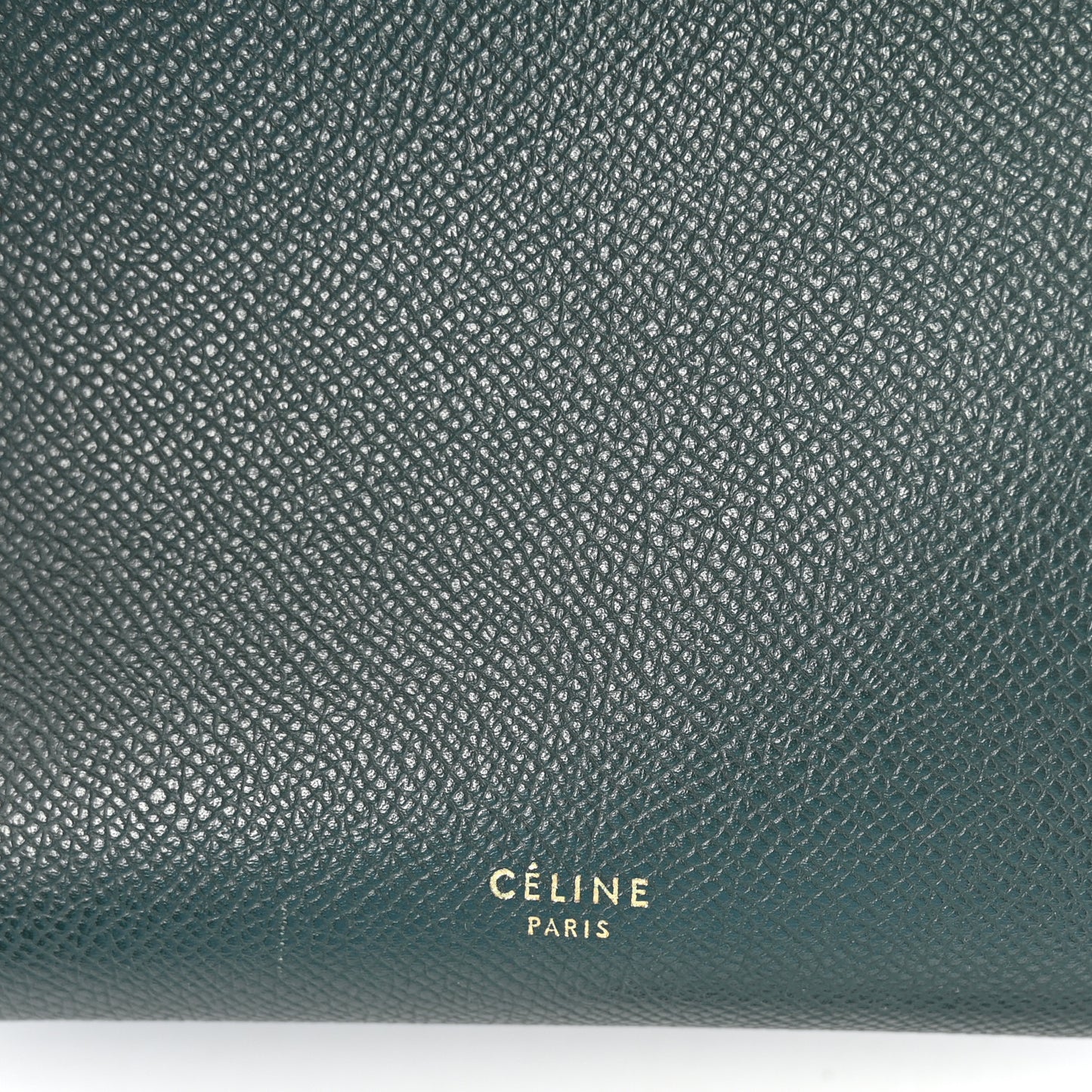 Grained Calfskin Micro Belt Bag Amazone