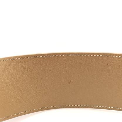 Celine Shiny Smooth Calfskin Small Twisted Cabas Chili Pale Pink 11 of 12