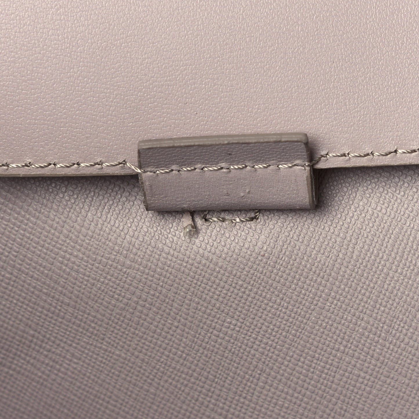 Vitello Ginevra Elaphe Monster Eyes Shopping Tote Grigio Polvere Naturale