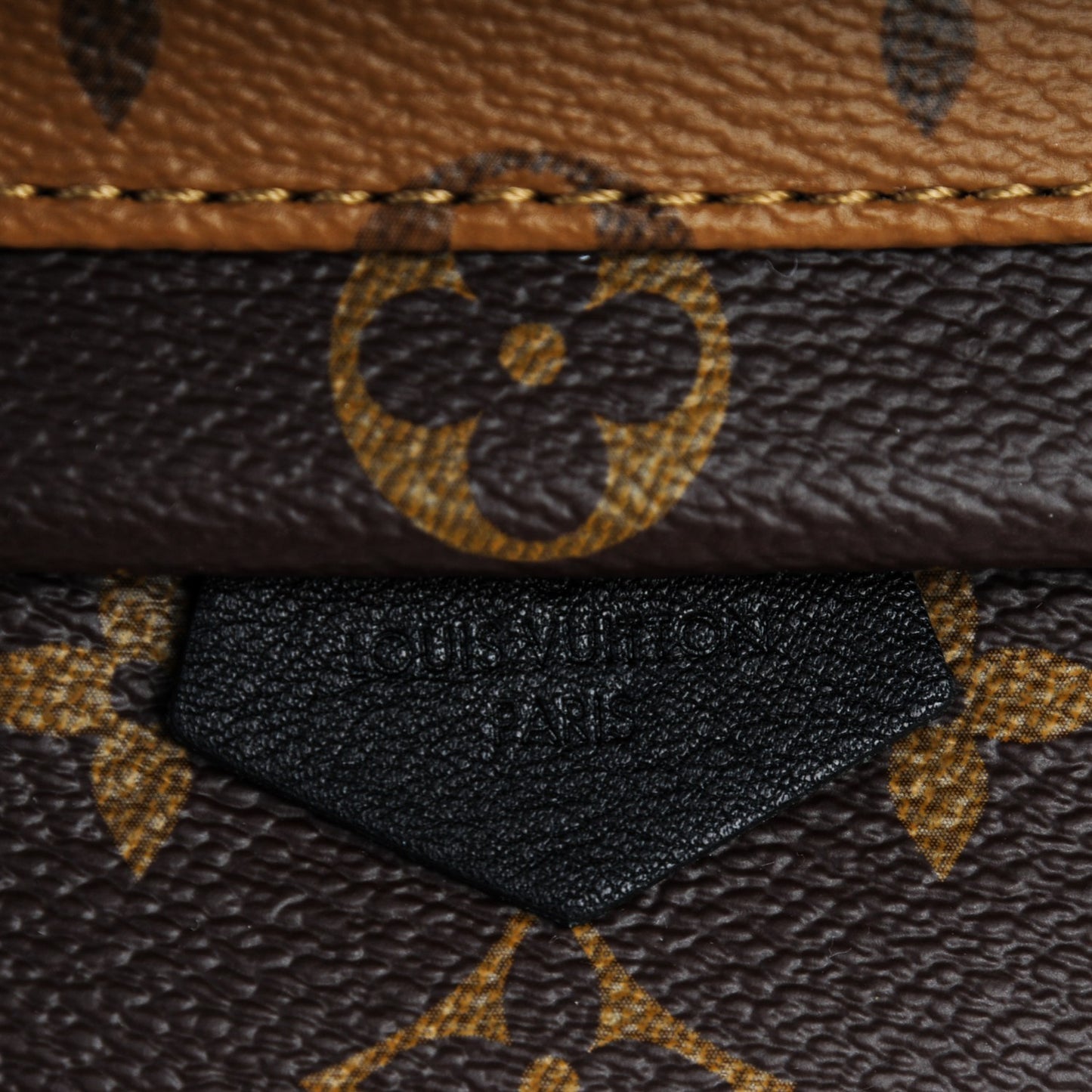Reverse Monogram Palm Springs Backpack Mini