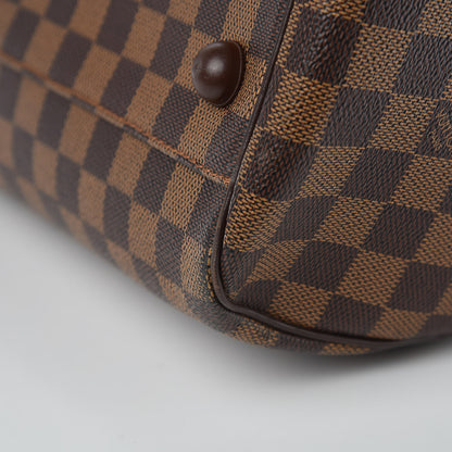 Louis Vuitton Damier Ebene Ribera GM 15 of 15