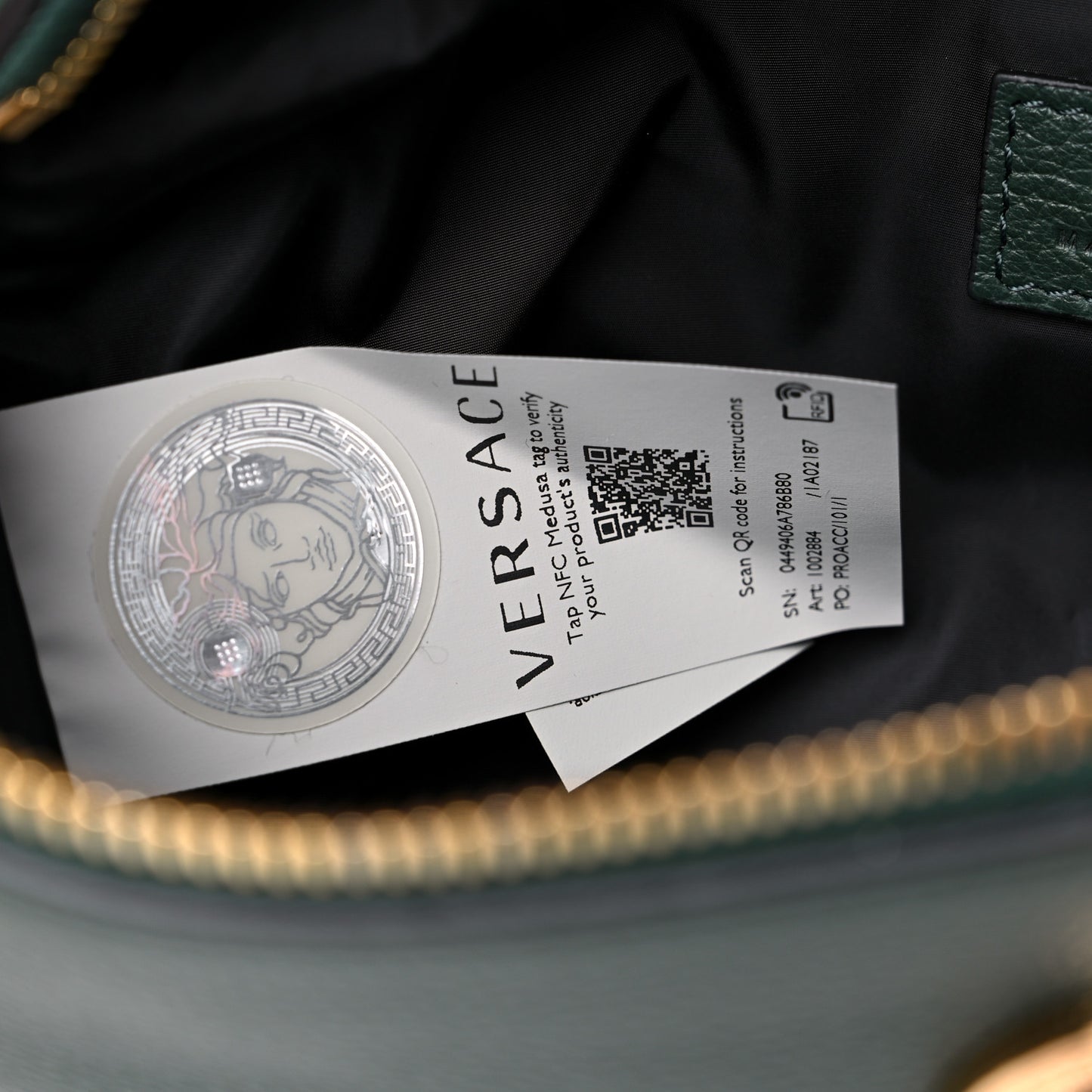 Grained Calfskin Vanitas Medea Belt Bag Green