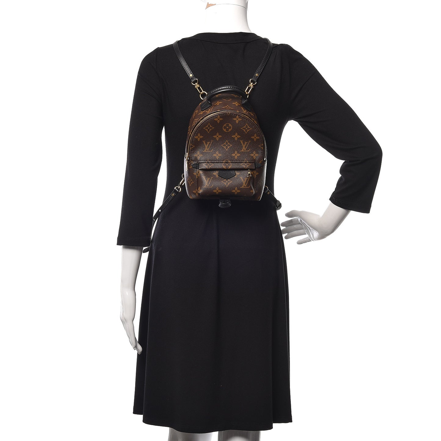 Monogram Palm Springs Backpack Mini