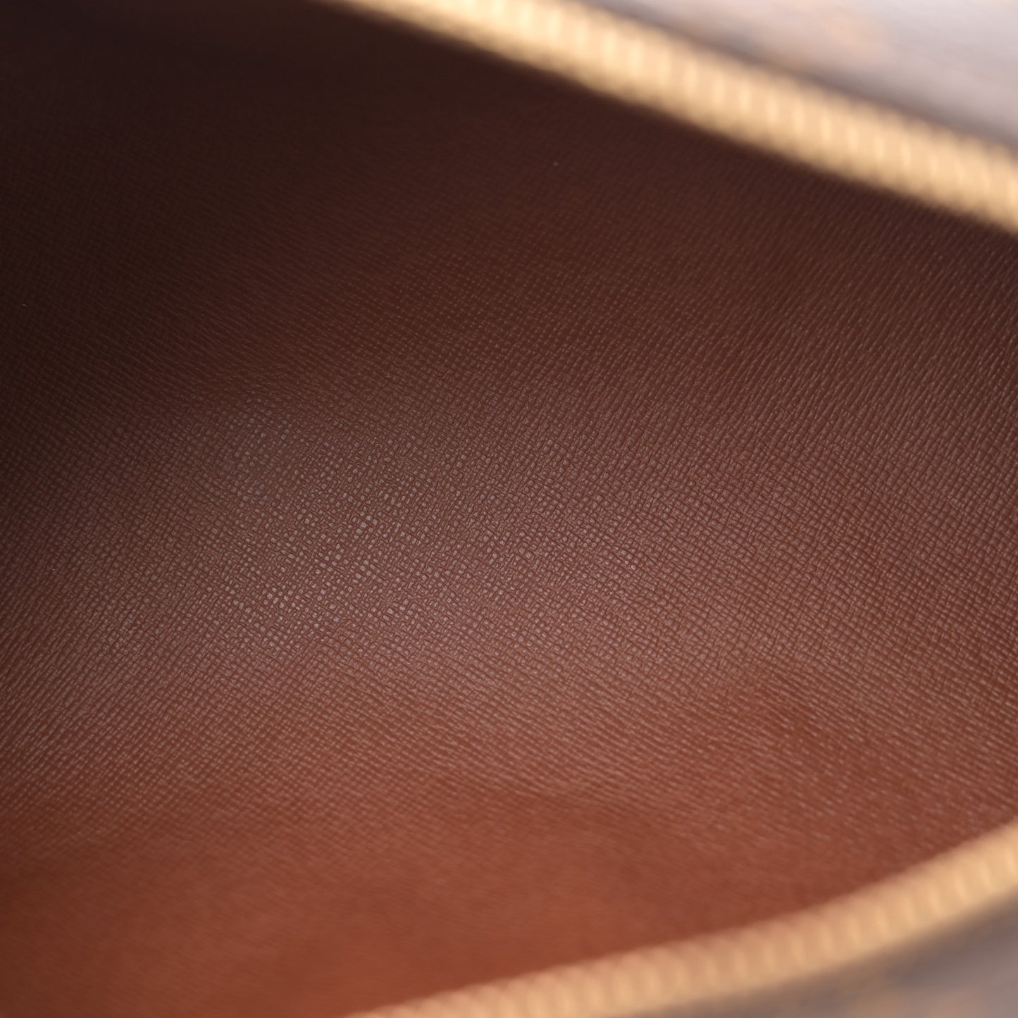 Monogram Papillon 26