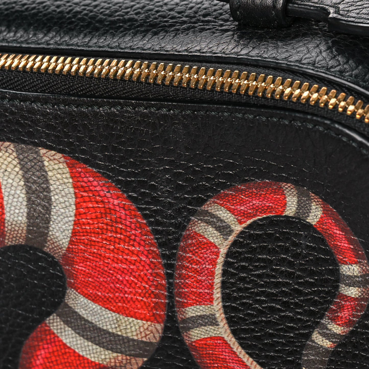 Grained Calfskin Sylvie Web Kingsnake Small Camera Bag Black Multicolor