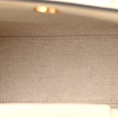 Gucci Raffia Textured Dollar Calfskin Web Houndstooth Mini Diana Tote Bag Light Blue Natural Deep Orange 5 of 11