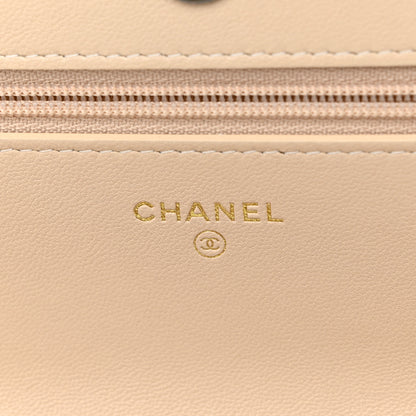 Chanel Goatskin Quilted Chanel 19 Wallet On Chain WOC Beige 6 of 12