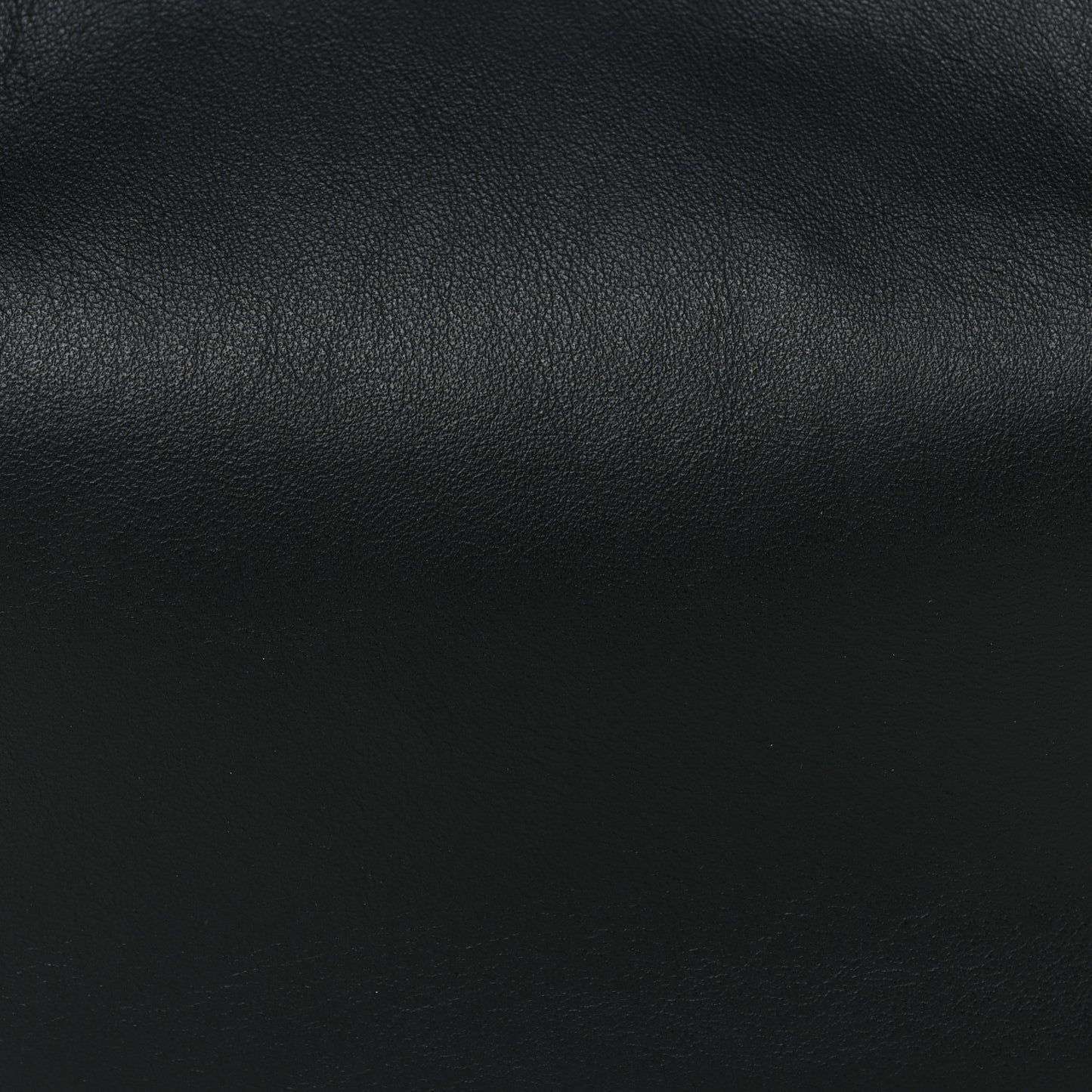 Vitello Grace Matte Small Fendigraphy Hobo Bag Black