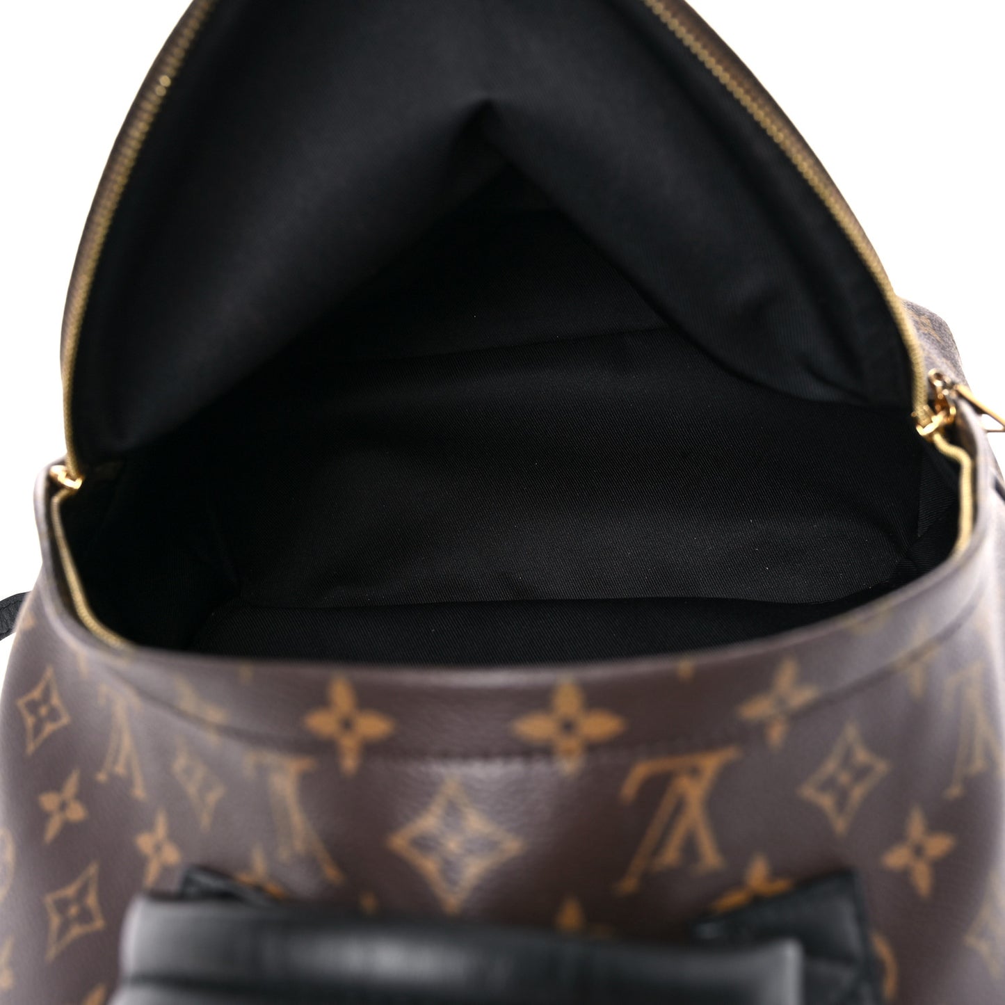Monogram Palm Springs Backpack MM