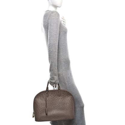Louis Vuitton Ostrich Alma GM Gris 2 of 11