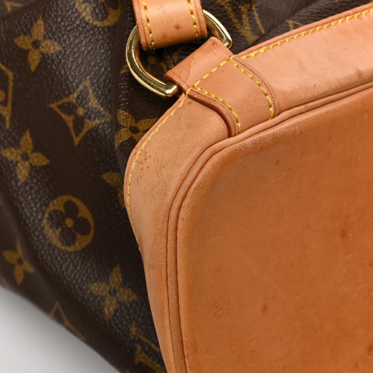 Monogram Montsouris GM Backpack