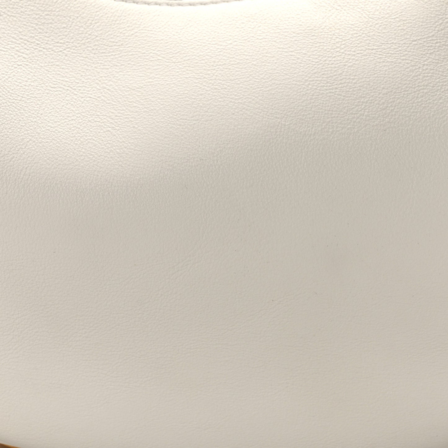 Vitello Grace Matte Small Fendigraphy Hobo Bag White Ice