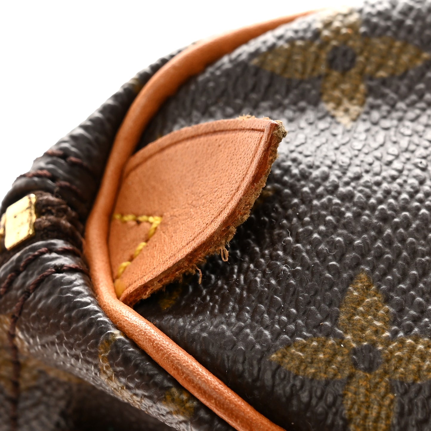 Monogram Mini Sac HL Speedy