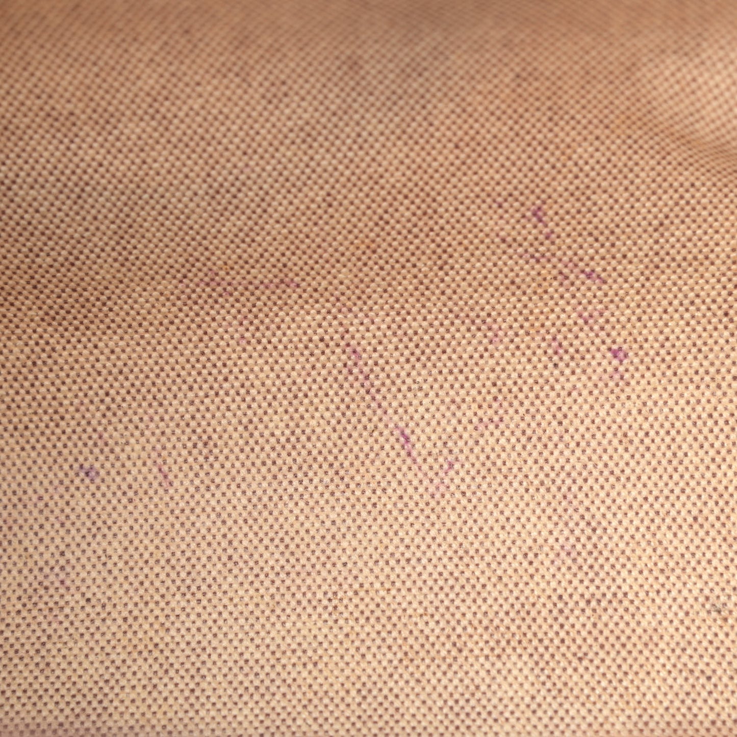 Toile Vache Calfskin Herbag Cabas Havane