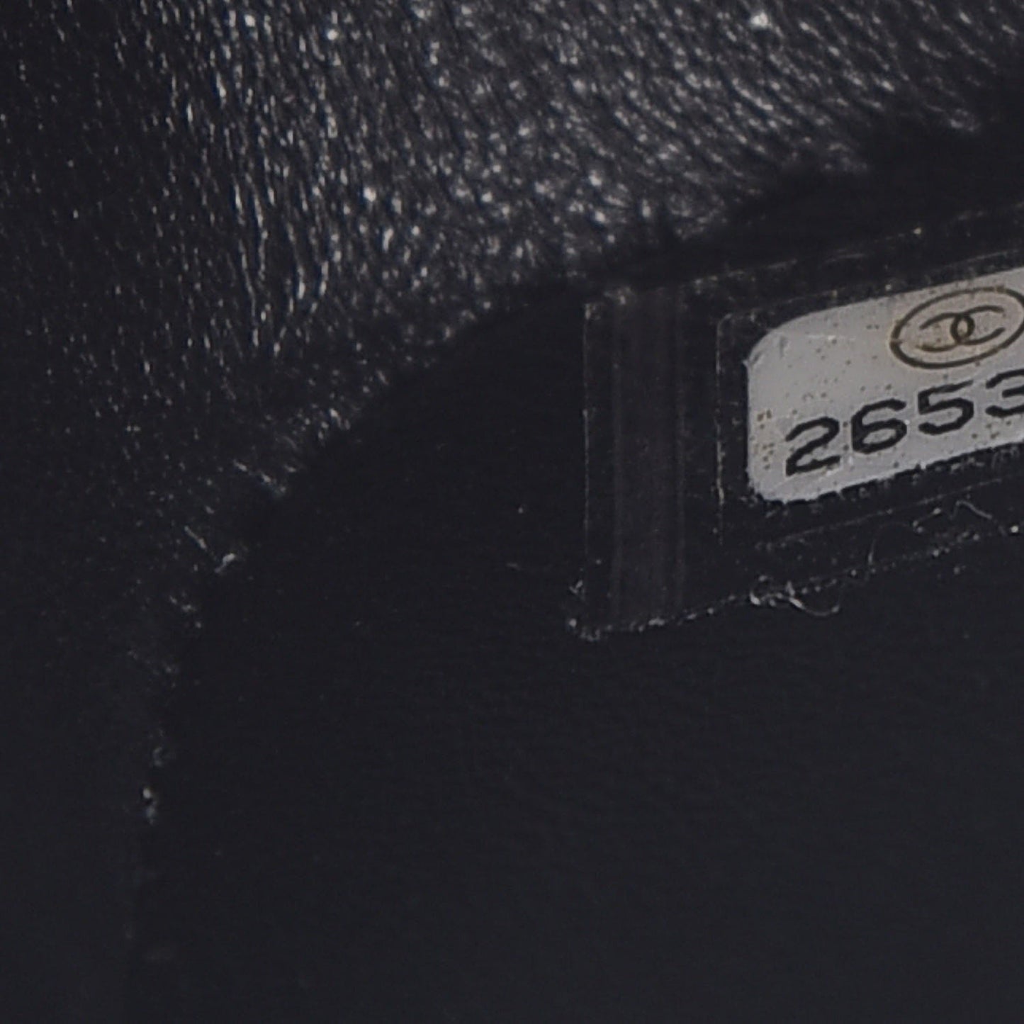 Lizard Mini Rectangular Flap Black
