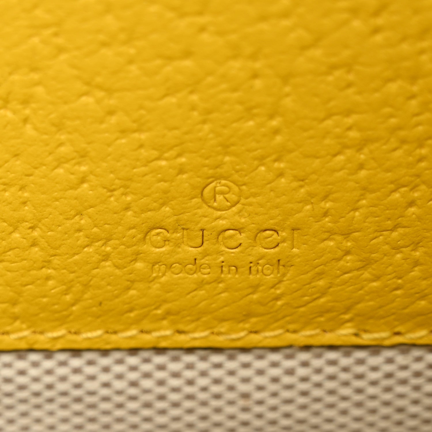Gucci Fabric Embroidered Square G Forte Dei Marmi Striped Case Green Yellow 5 of 5