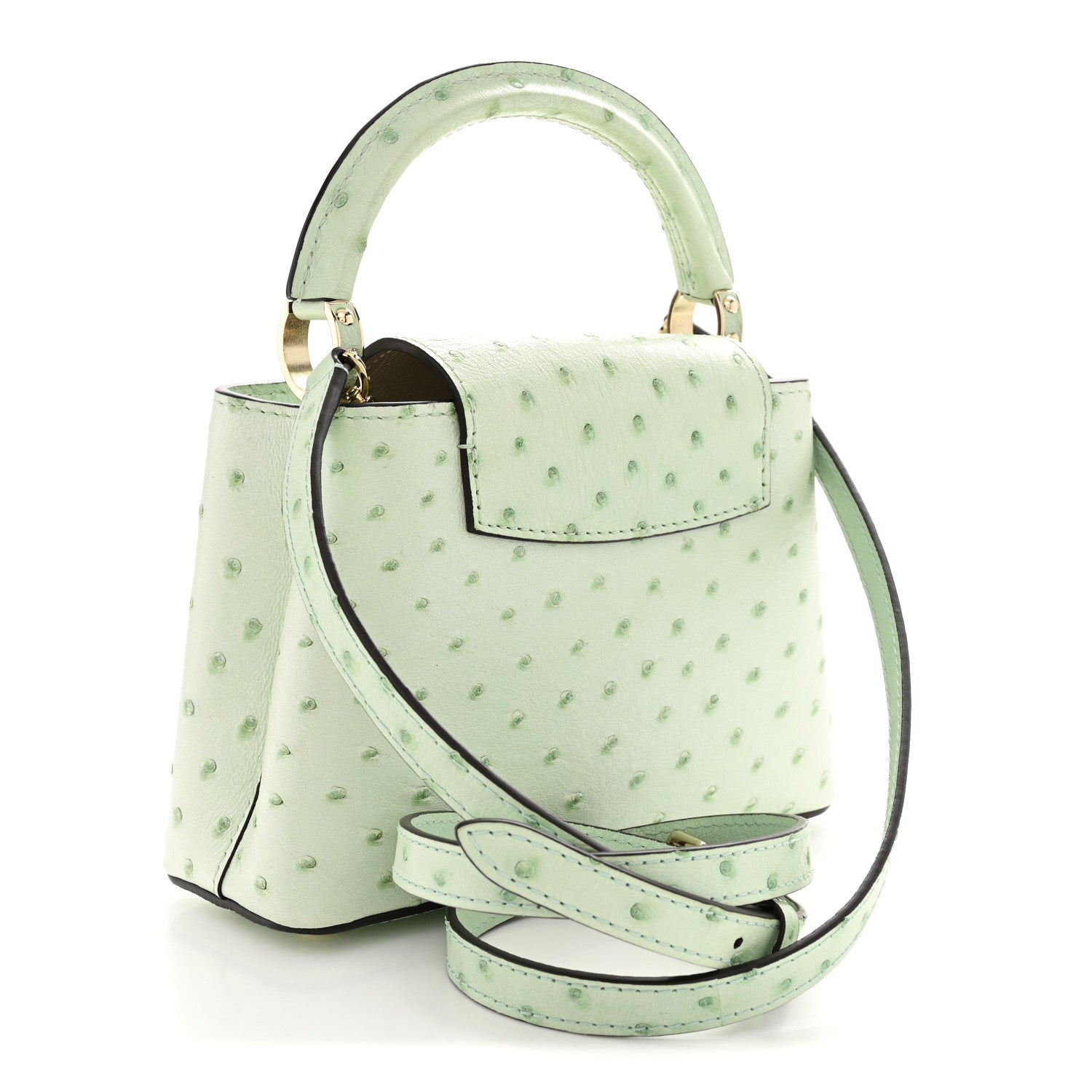 Louis Vuitton Ostrich Capucines Mini Vert Celadon 3 of 11