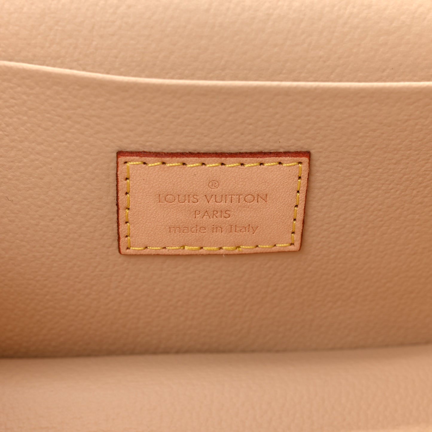 Monogram Nice Mini
