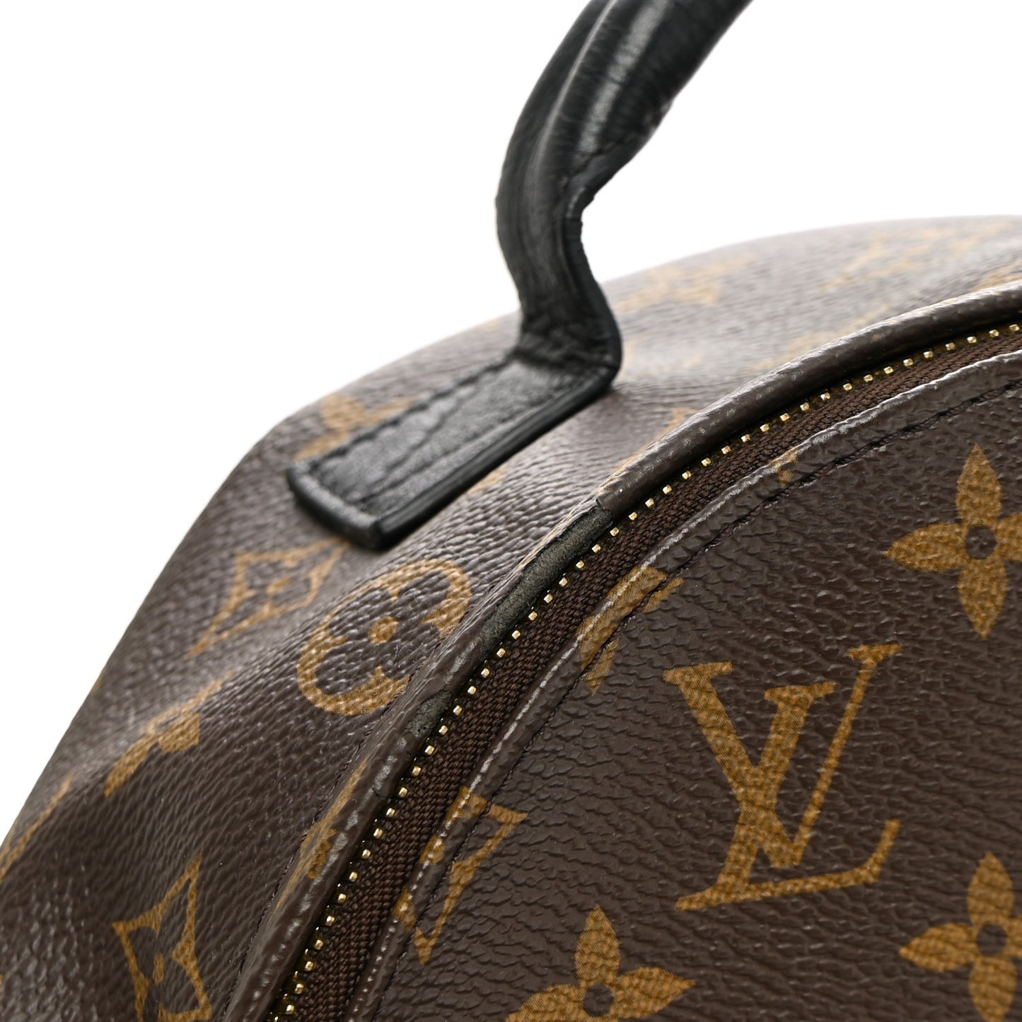 Monogram Palm Springs Backpack PM