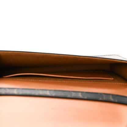 Celine Triomphe Canvas Multipochette Tan 5 of 11