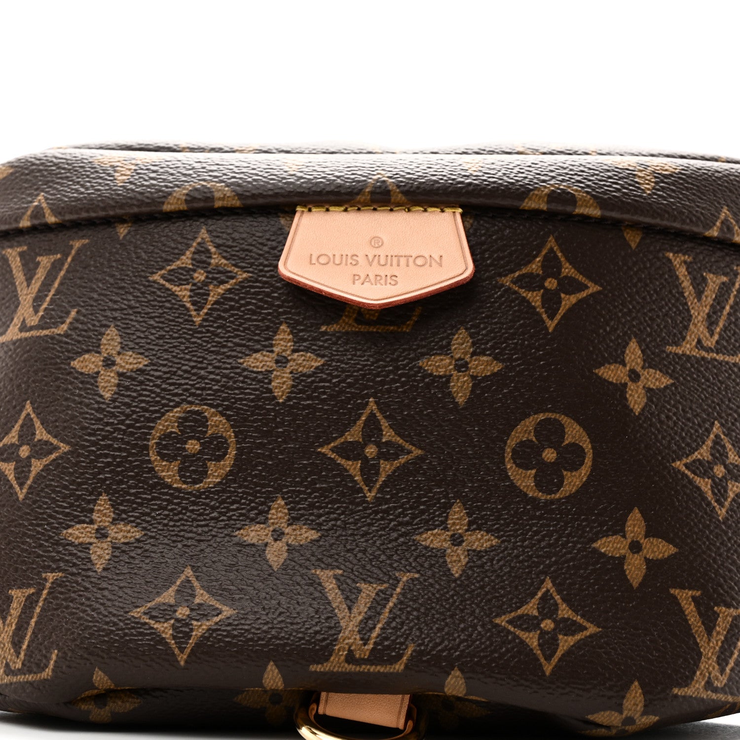 Louis Vuitton Monogram Bumbag 7 of 9