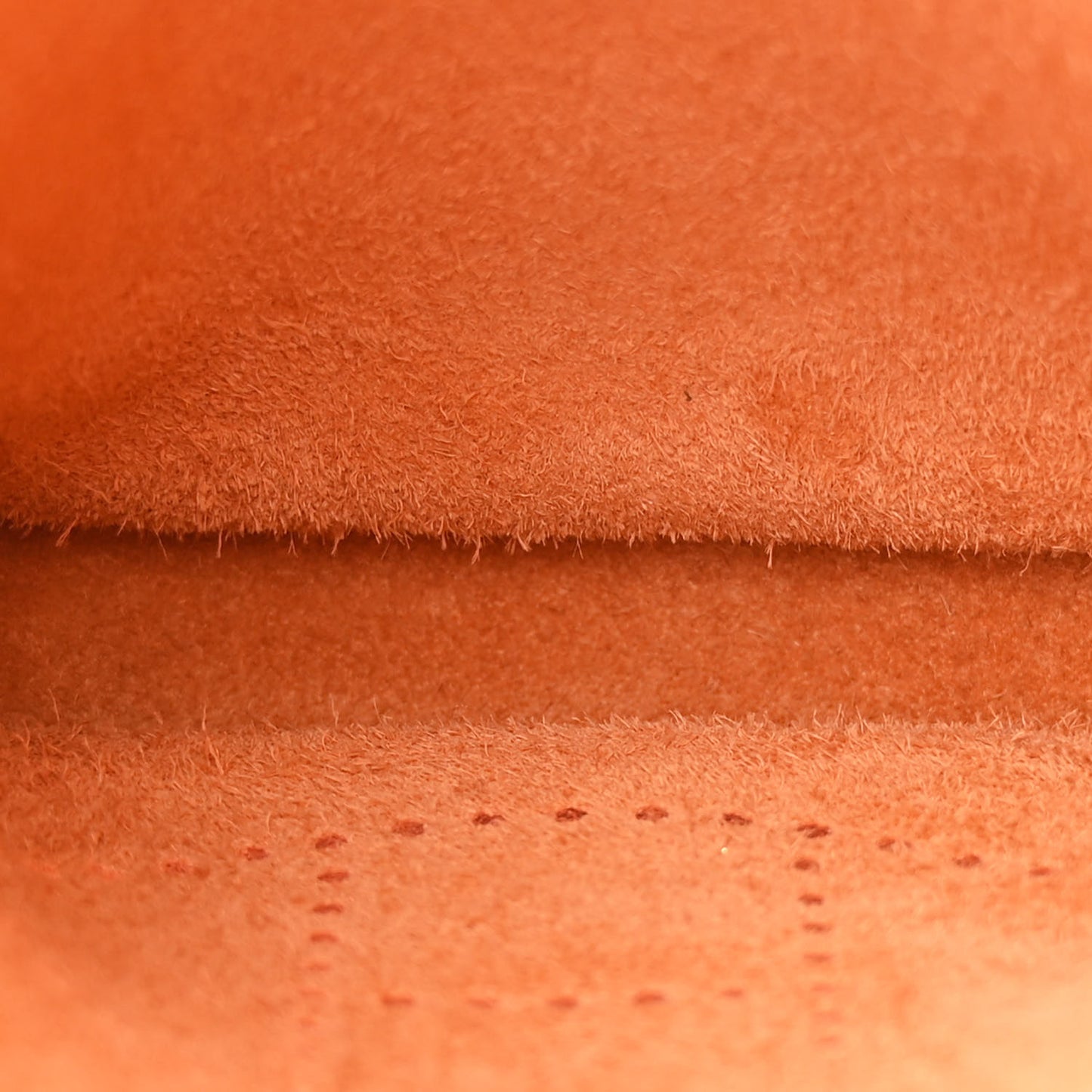Taurillon Clemence Evelyne TPM Orange