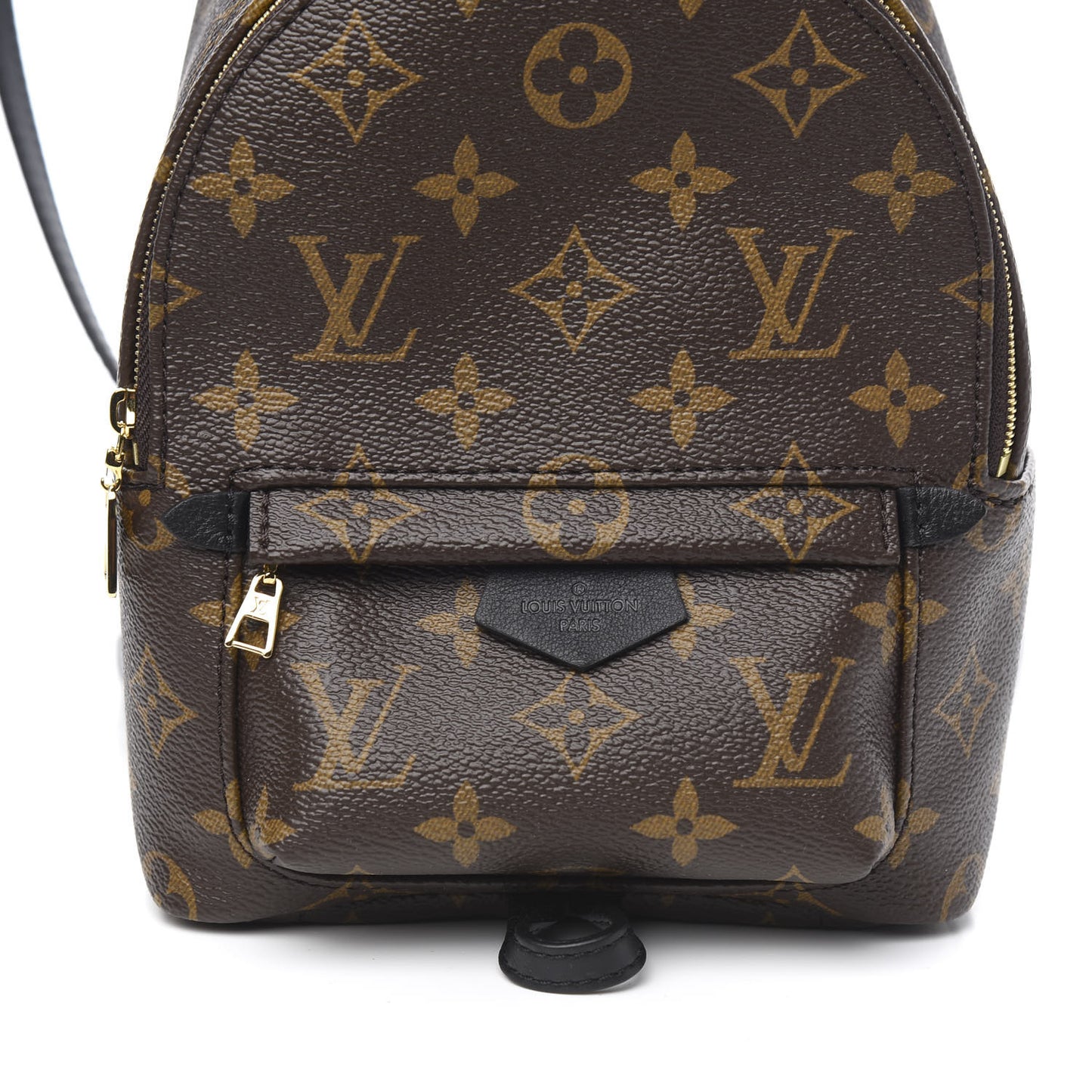 Monogram Palm Springs Backpack Mini