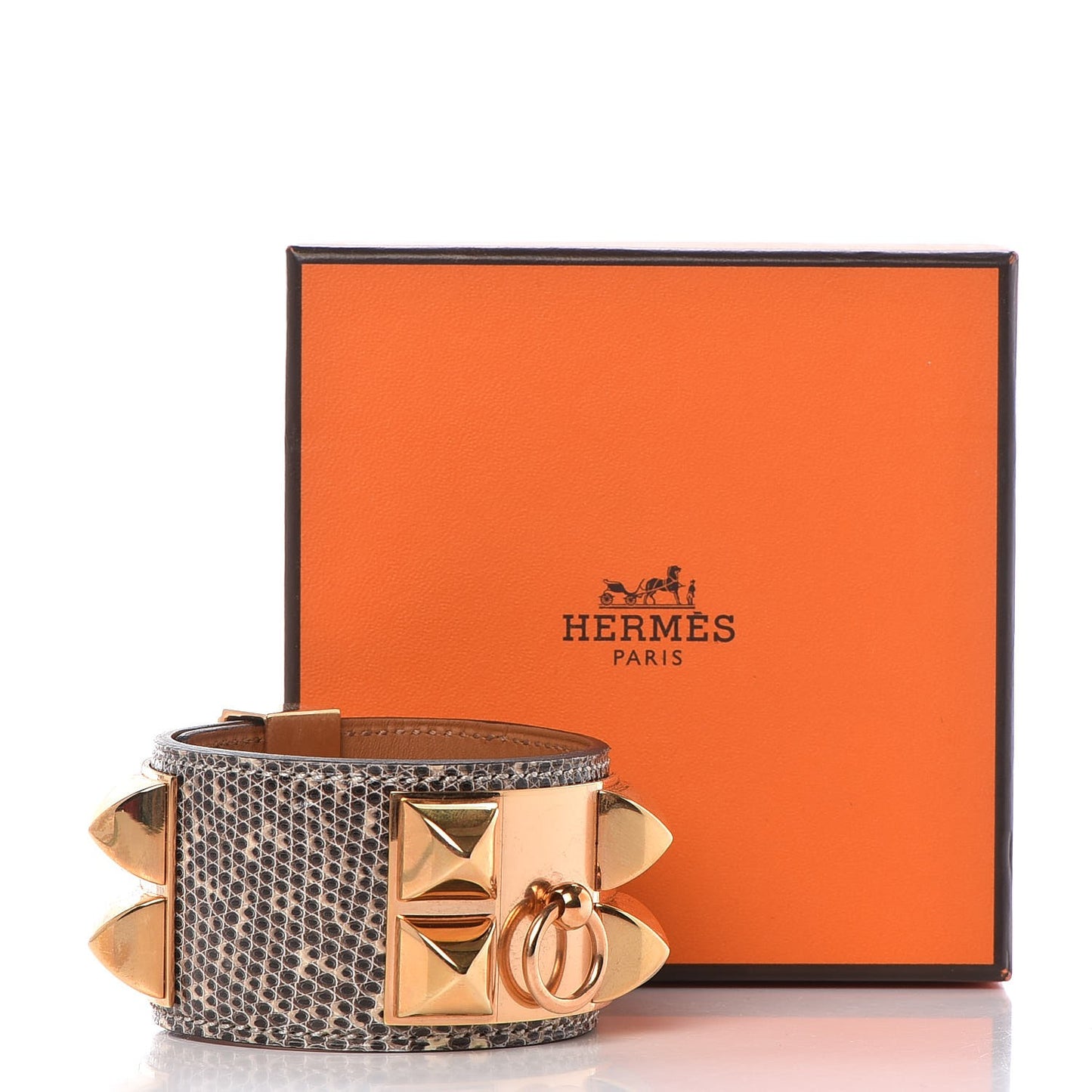 Lizard Collier De Chien CDC Bracelet T3 Ombre