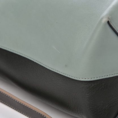 Celine Shiny Smooth Calfskin Small Twisted Cabas Jade Forest 11 of 16