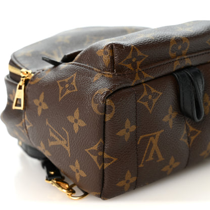 Louis Vuitton Monogram Palm Springs Backpack Mini 14 of 19