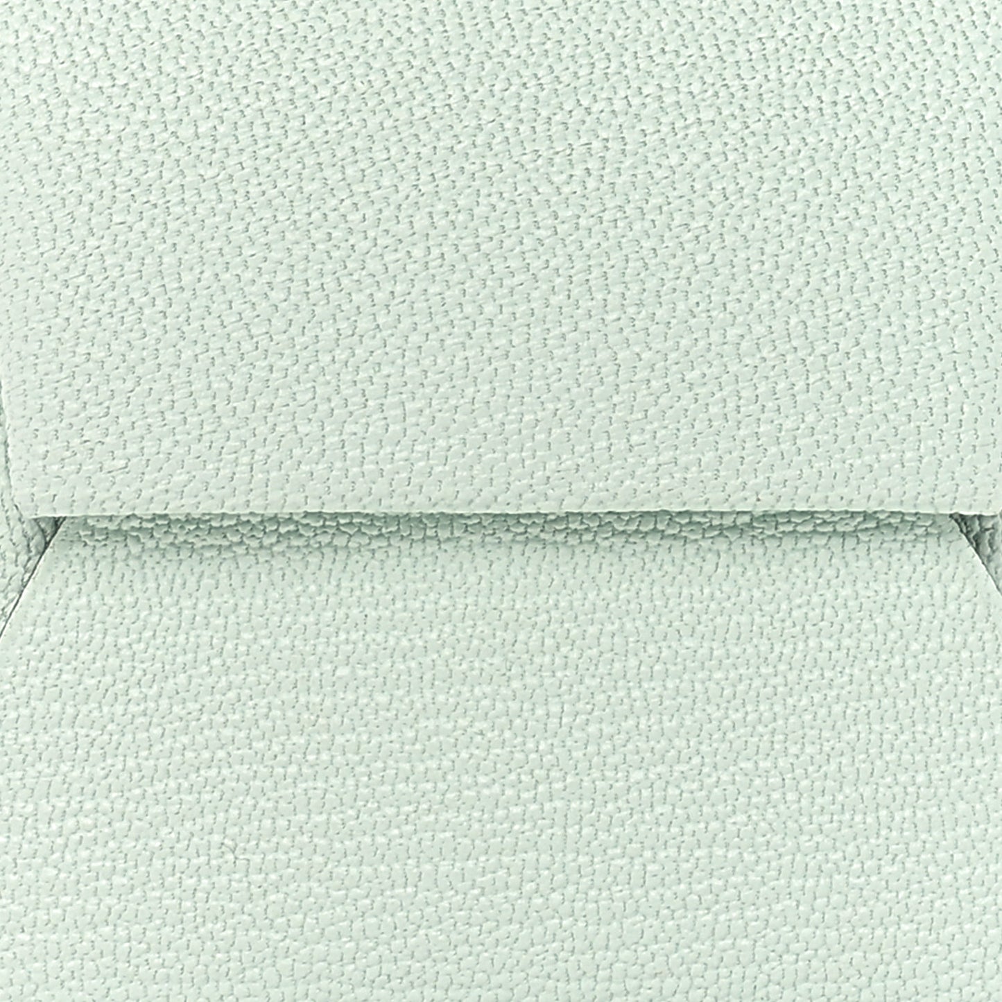 Chevre Mysore Bastia Verso Coin Purse Vert Peppermint Vert Moyen