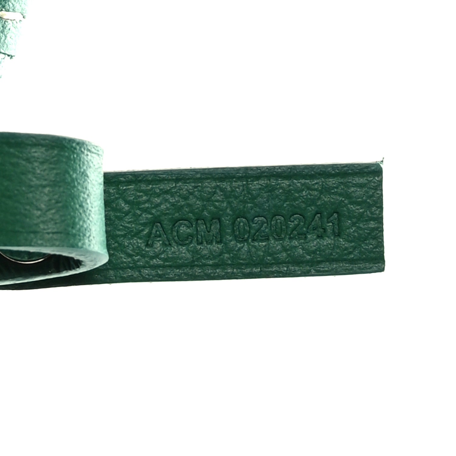 Goyard Goyardine Saint Louis PM Green 8 of 10