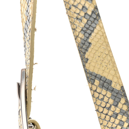 Bottega Veneta Goatskin Python Embossed Padded Cassette Crossbody Bag Kiwi Black Silver 13 of 13