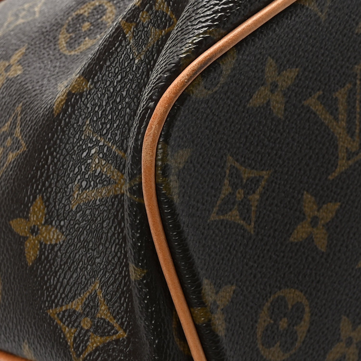Louis Vuitton Monogram Palermo PM 10 of 14