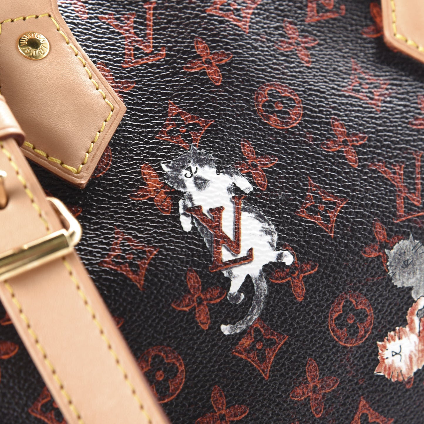 Catogram Speedy Bandouliere 30 Marron