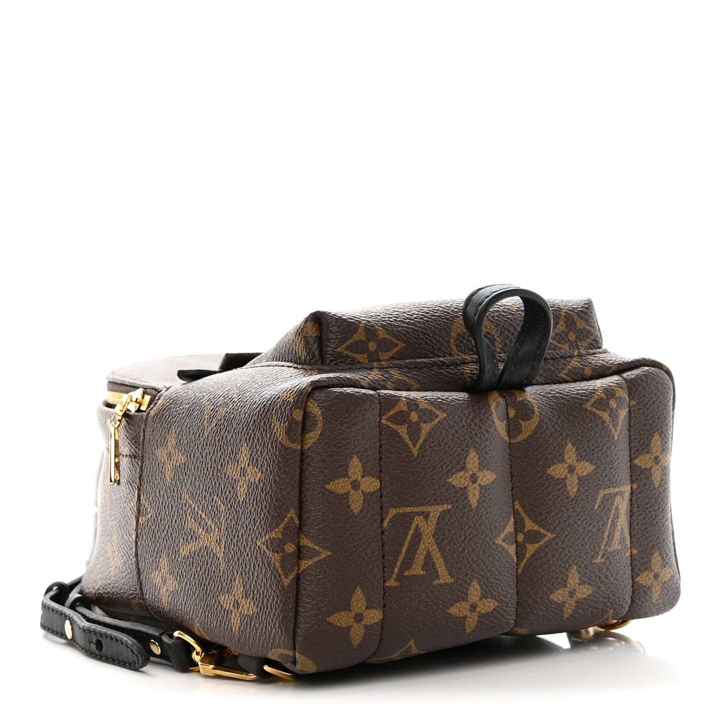Monogram Palm Springs Backpack Mini