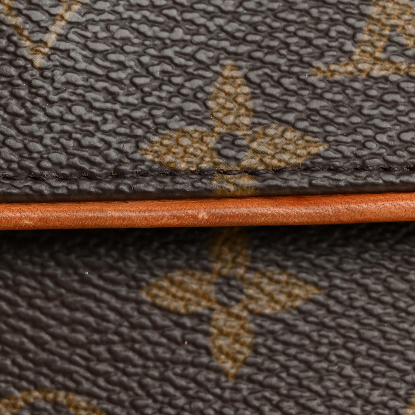 Monogram Pochette Florentine XS