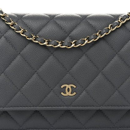 Chanel Caviar Quilted Wallet on Chain WOC Grey 7 of 10