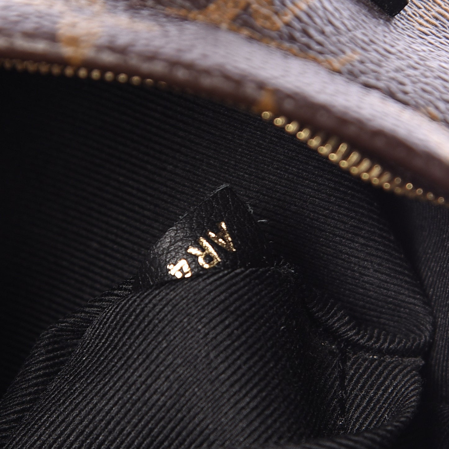 Monogram Palm Springs Backpack Mini