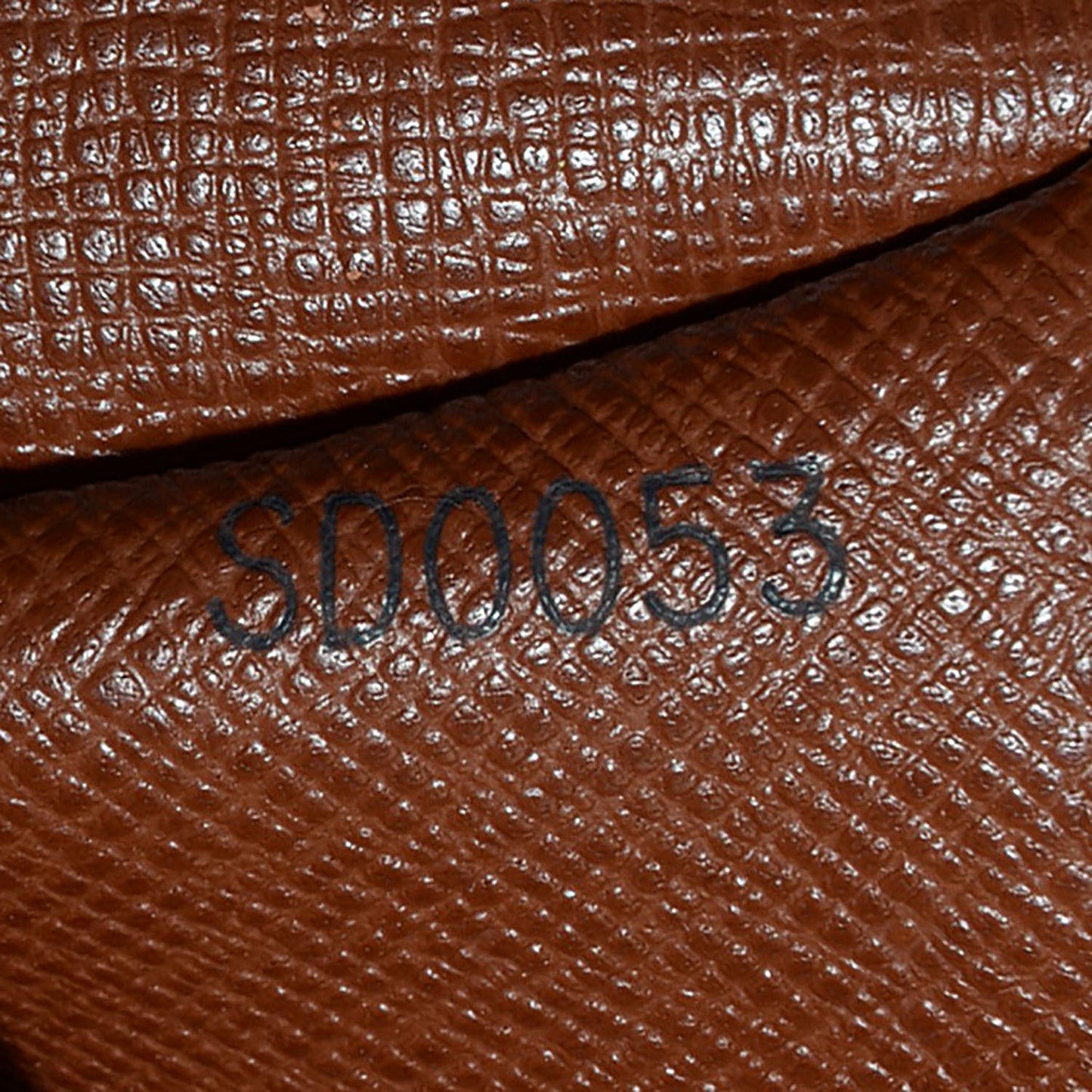 Monogram Papillon 26
