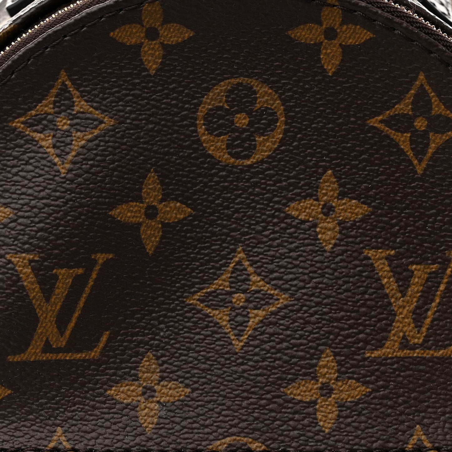 Monogram Palm Springs Backpack Mini