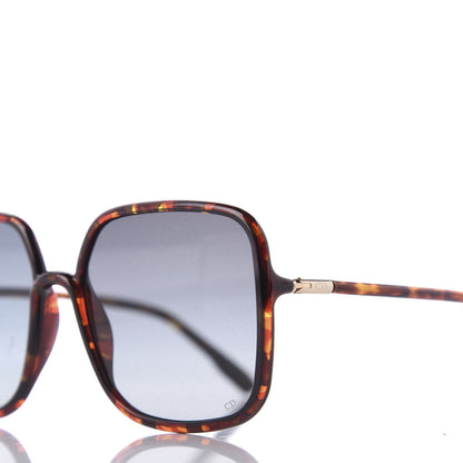 Christian Dior Acetate So Stellaire 1 Sunglasses Tortoise 10 of 11
