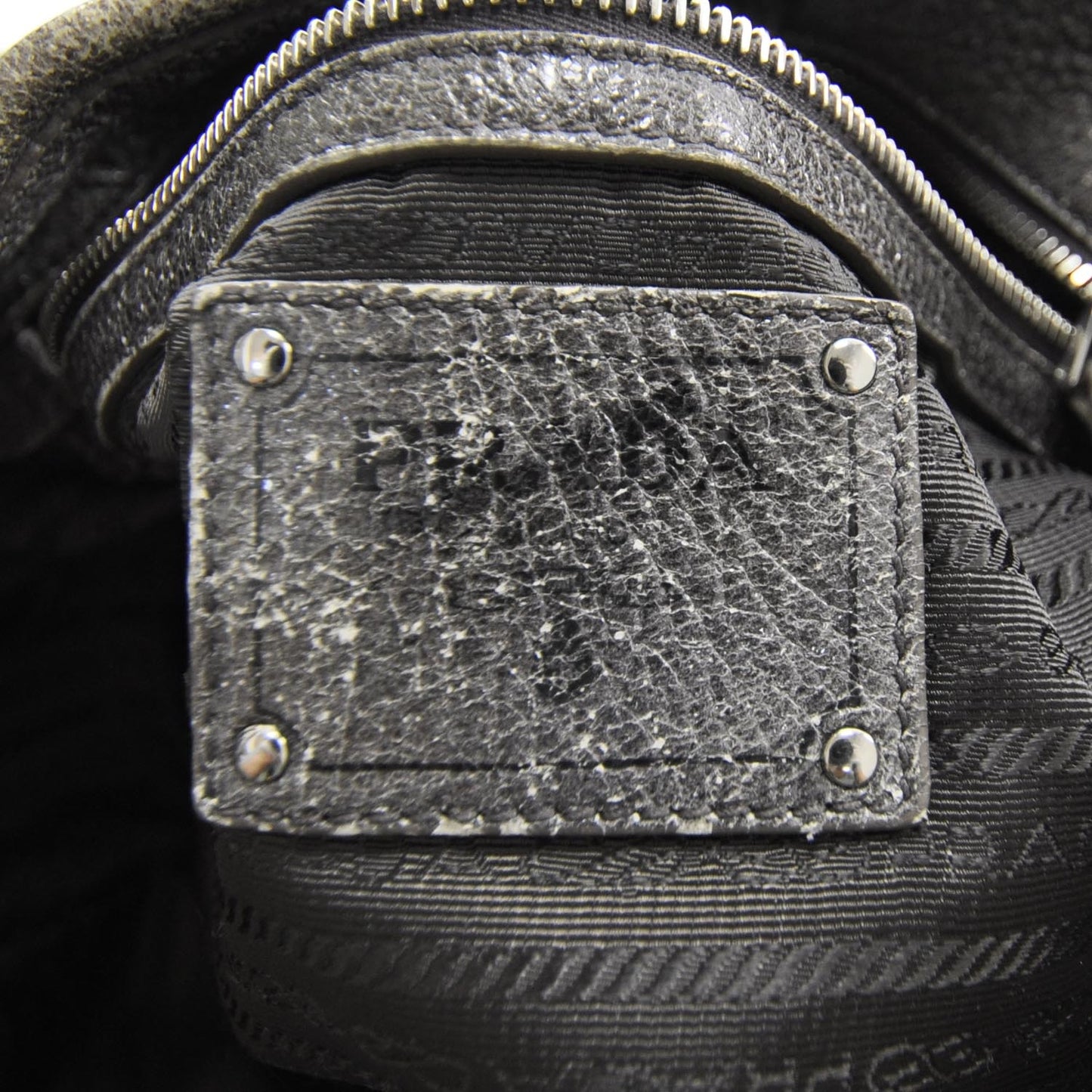 Cervo Lux Ombre Zippered Tote