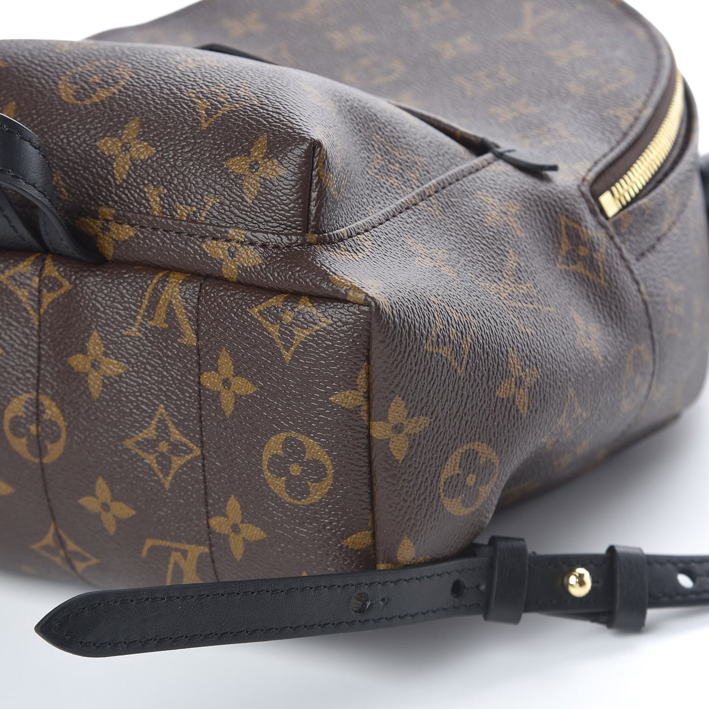 Monogram Palm Springs Backpack PM