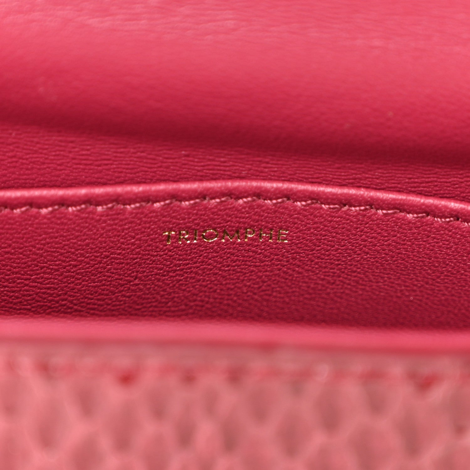 Celine Watersnake Teen Triomphe Ruby 7 of 11