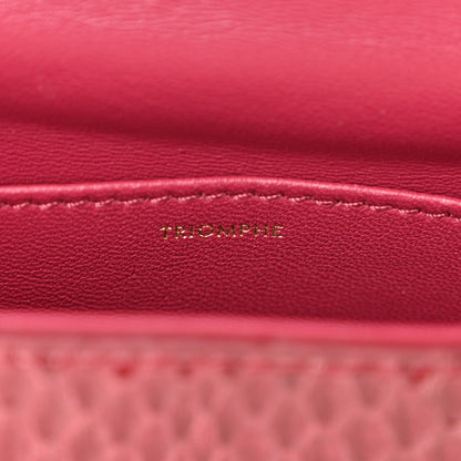 Celine Watersnake Teen Triomphe Ruby 7 of 11